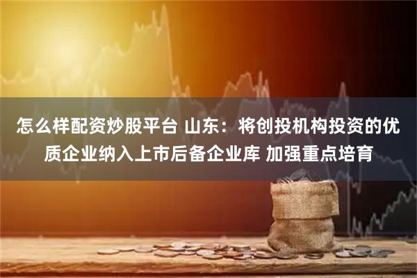 怎么样配资炒股平台 山东：将创投机构投资的优质企业纳入上市后备企业库 加强重点培育