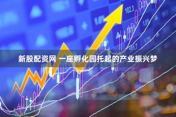 新股配资网 一座孵化园托起的产业振兴梦
